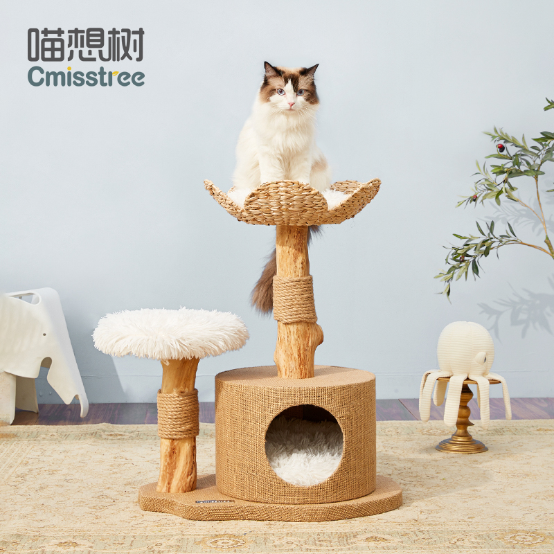 喵想树实木蒲草猫爬架子猫窝猫树一体树干夏天小型剑麻不占地猫架