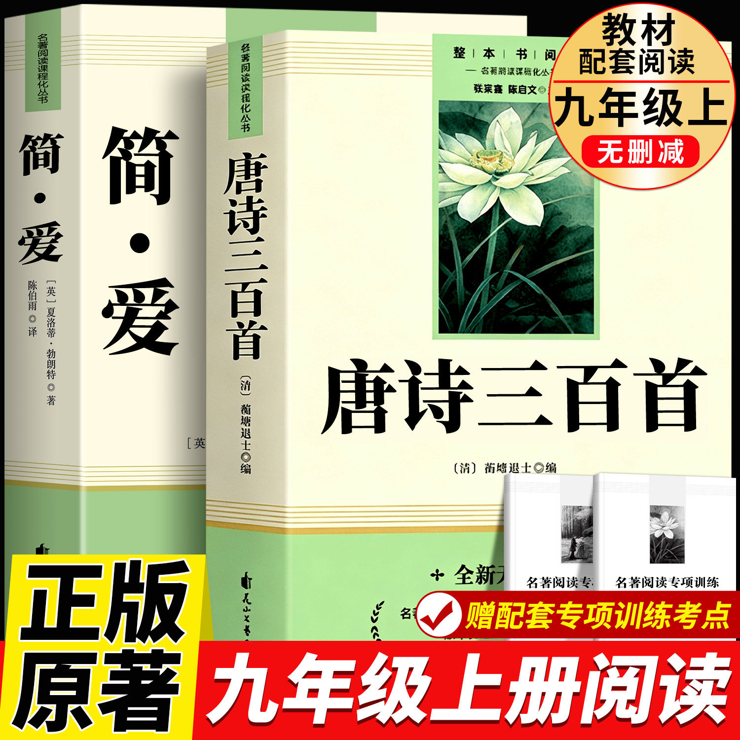 儒林外史和简爱九年级必读人教版九下必读名著原著正版初三9课外阅读书籍完整版白话文人民教育出版社儒林外传推荐书目新华书店