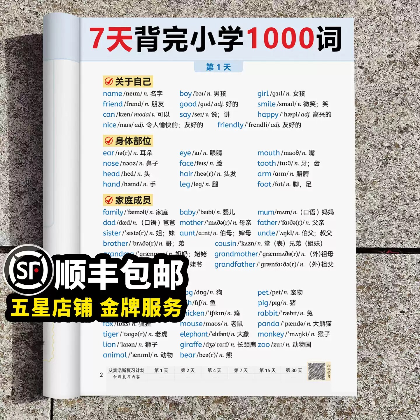 小学英语知识归纳总结图片