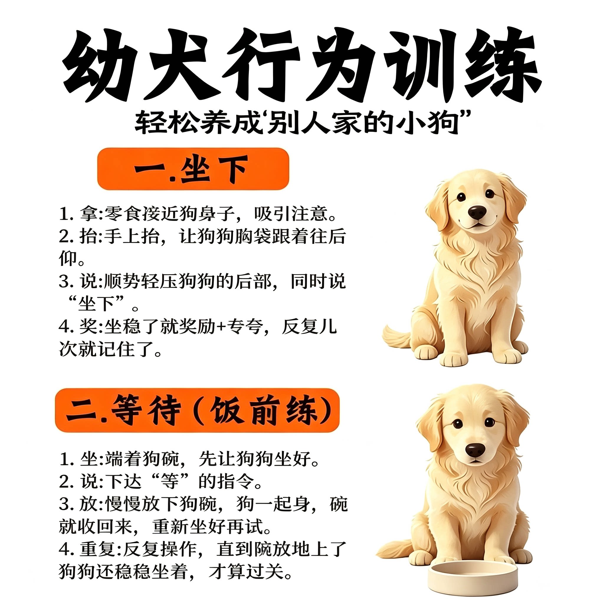 新手养狗幼犬服从性训练指南零食引导养成乖巧狗狗实操教程