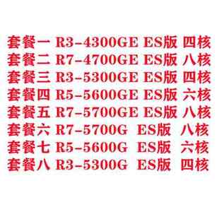 AMD 4650G SAMPLE 5700G 4750G 5600G ENG 5300G 4350GE