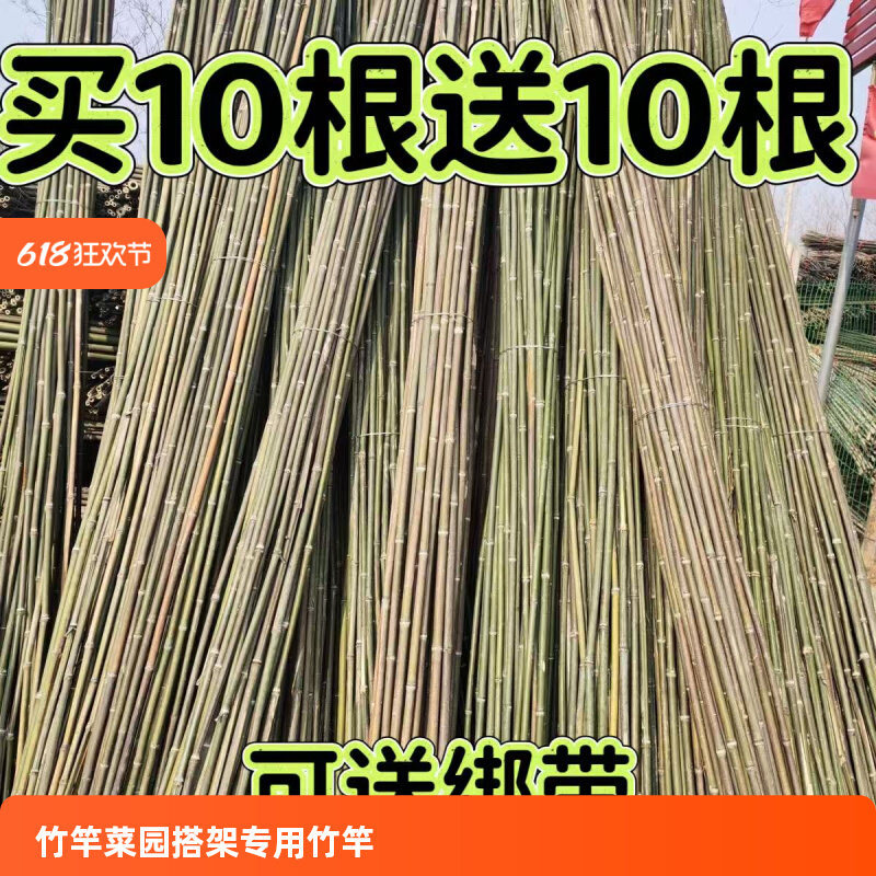 竹竿菜园搭架蔬菜黄瓜豆角架竹篱笆栅栏小竹子细竹竿爬藤架子庭院