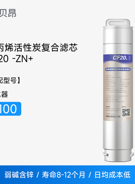 贝昂T-R100 1号聚丙烯活性炭复合滤芯  含锌弱碱CF20-Zn+