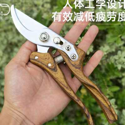 专业修枝剪园艺剪枝剪刀家用花艺工具园林果树强力粗枝剪弹簧