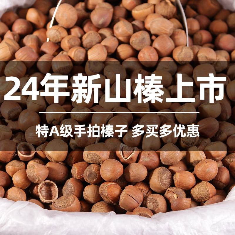 榛子东北特产新鲜野生辽宁铁岭大粒坚果生臻子炒熟开原大榛果干果