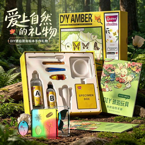 DIY手工真实昆虫植物标本