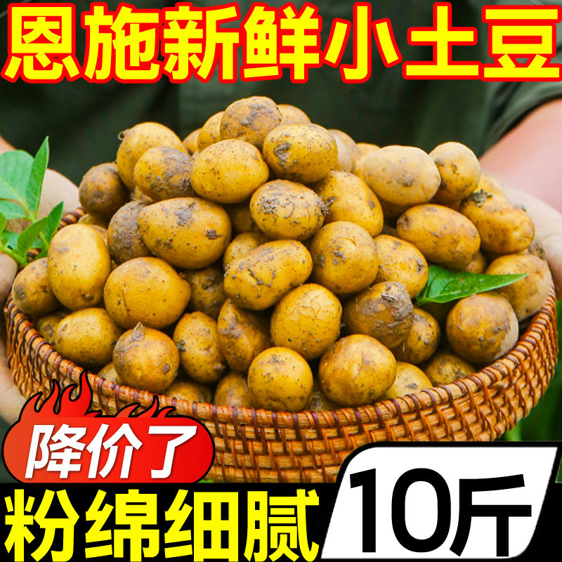 湖北恩施小土豆10斤现挖新鲜黄心土豆当季蔬菜整箱迷你马铃薯洋芋怎么样,好用不?