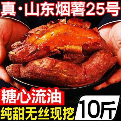 【正宗流油烟薯25号】官方旗舰店