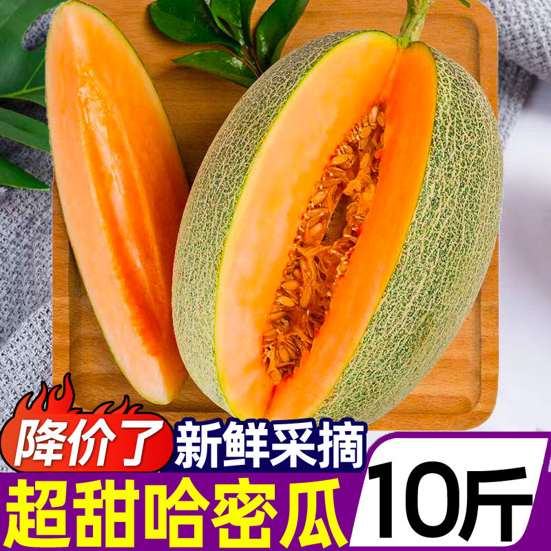 正宗新疆吐鲁番哈密瓜10斤网纹瓜新鲜当季水果甜瓜香瓜蜜瓜西州蜜