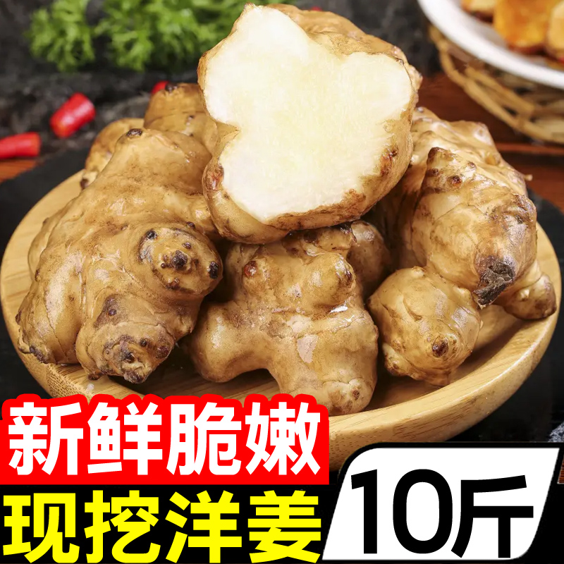 【新鲜洋姜好评榜】官方旗舰店