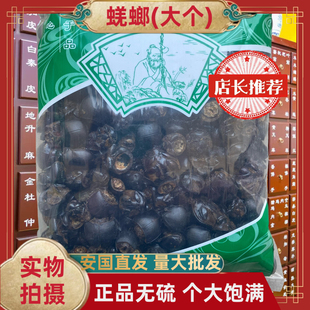 正品蜣螂中药材蜣螂虫大个屎壳郎推屎爬铁甲将军圣甲虫无硫包邮