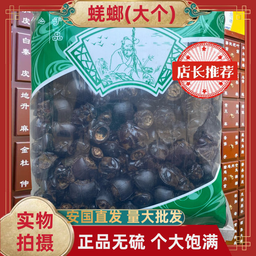 正品蜣螂中药材蜣螂虫大个屎壳郎推屎爬铁甲将军圣甲虫无硫包邮