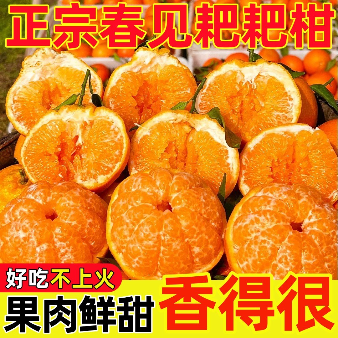 四川正宗春见耙耙柑新鲜柑橘水果橘子批发丑八怪整箱桔子包邮当季,水产肉类/新鲜蔬果/熟食,桔子,淘宝优惠券,粉丝福利购,淘宝优惠卷