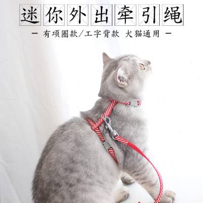 狗狗幼猫咪幼犬牵引绳套脖铃铛牵引绳小型玩具茶杯犬迷你遛狗猫绳