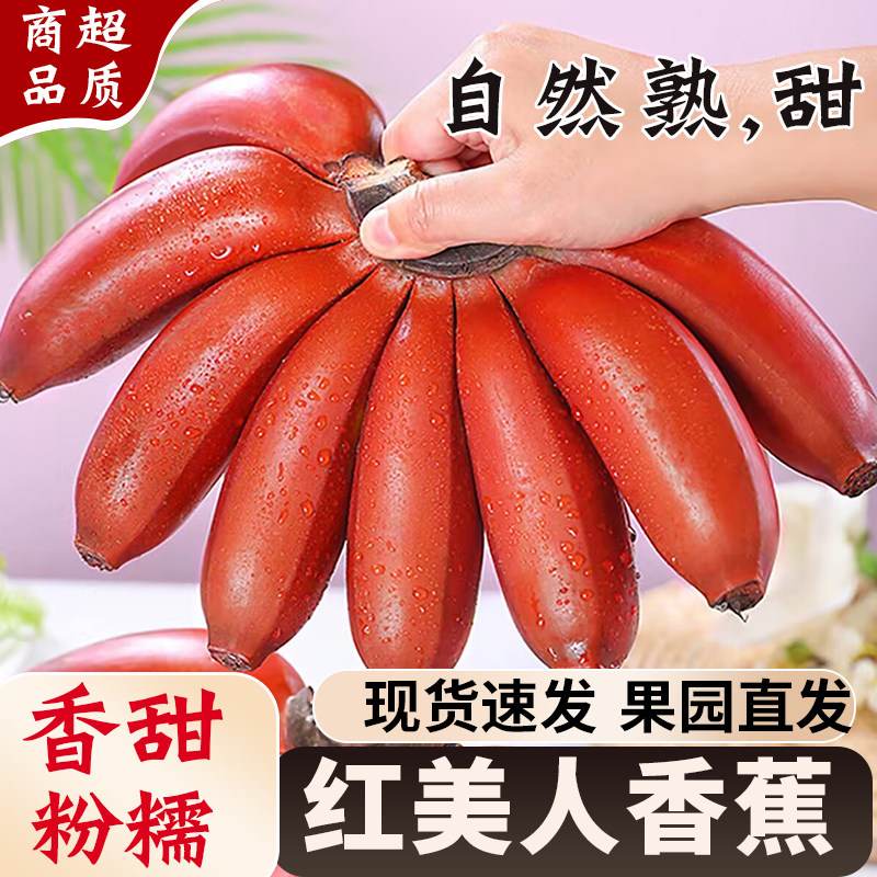 福建红美人香蕉新鲜水果当季整箱红皮香蕉自热熟粉蕉红皮蕉芭蕉