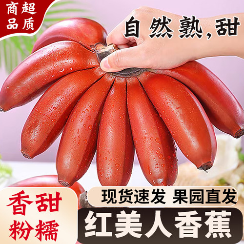 福建红美人香蕉粉糯香甜