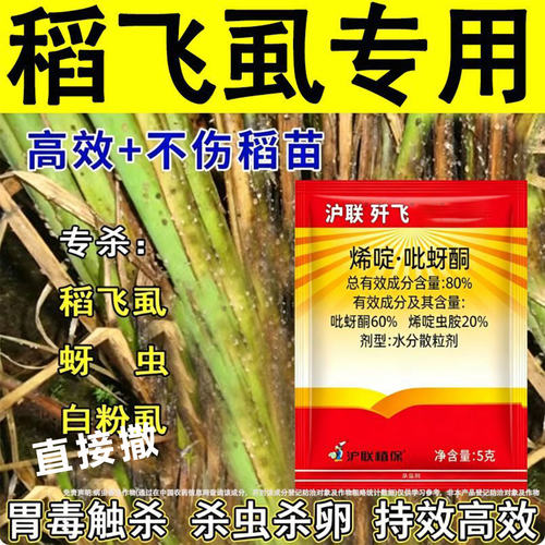稻飞虱农药杀虫剂烯啶吡蚜酮水稻专用杀虫剂蓟马蚜虫白粉虱专用药