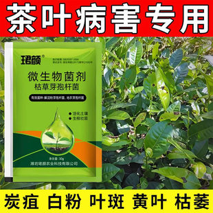 茶叶病专用茶饼轮斑病炭疽病煤烟白星叶枯病赤星病茶叶专用杀菌剂