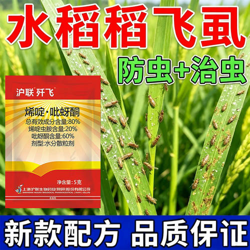 稻飞虱农药杀虫剂烯啶吡蚜酮水稻专用杀虫剂蓟马蚜虫白粉虱专用药