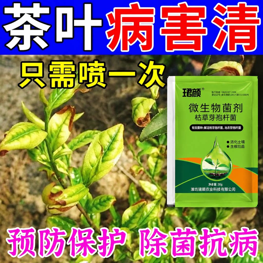 茶树病专用杀菌剂茶树病害清茶饼软腐炭疽叶枯叶霉黑斑茶叶病全治