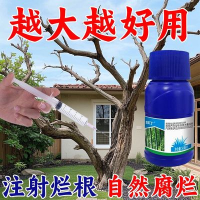 环嗪哃烂根专用药强力除树剂