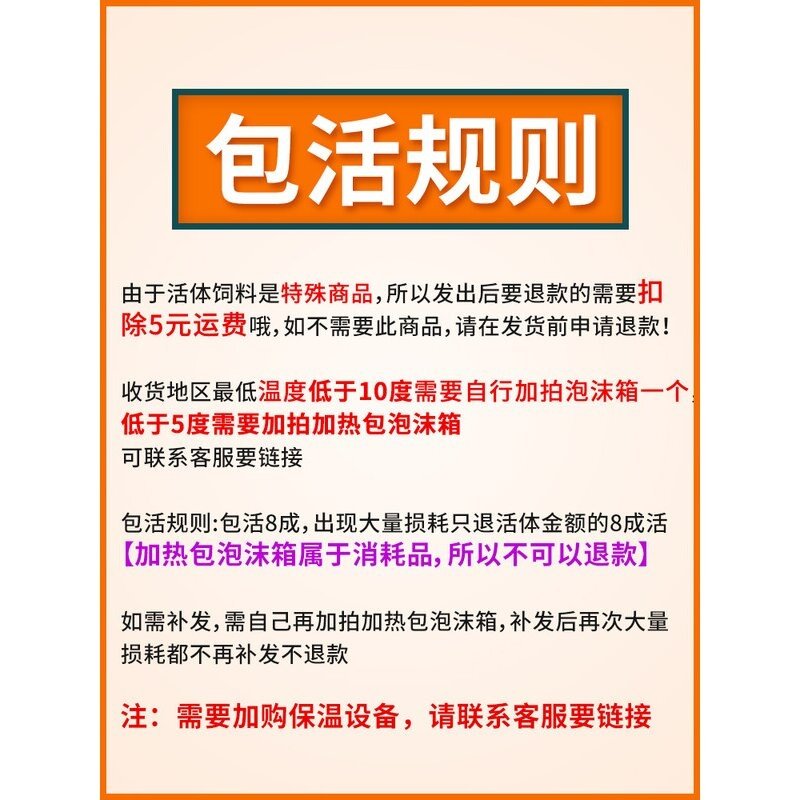 樱桃蟑螂活体饲料樱桃红蟑螂幼体活虫爬宠爬虫鸣虫食物守宫金龙鱼,宠物/宠物食品及用品,爬虫/鸣虫食物,淘宝优惠券,粉丝福利购,淘宝优惠卷