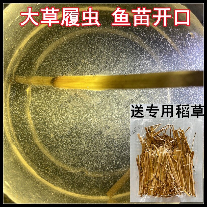 草履虫 洄水 金波子燕鱼斗鱼孔雀灯科鱼幼苗开口水蚤丰年虾卵繁殖