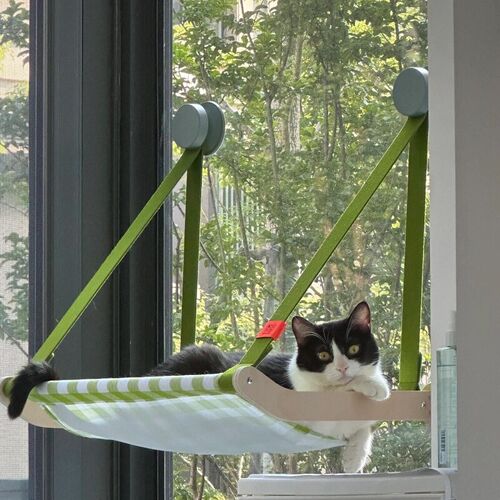 猫爬架免打孔玻璃吸盘猫