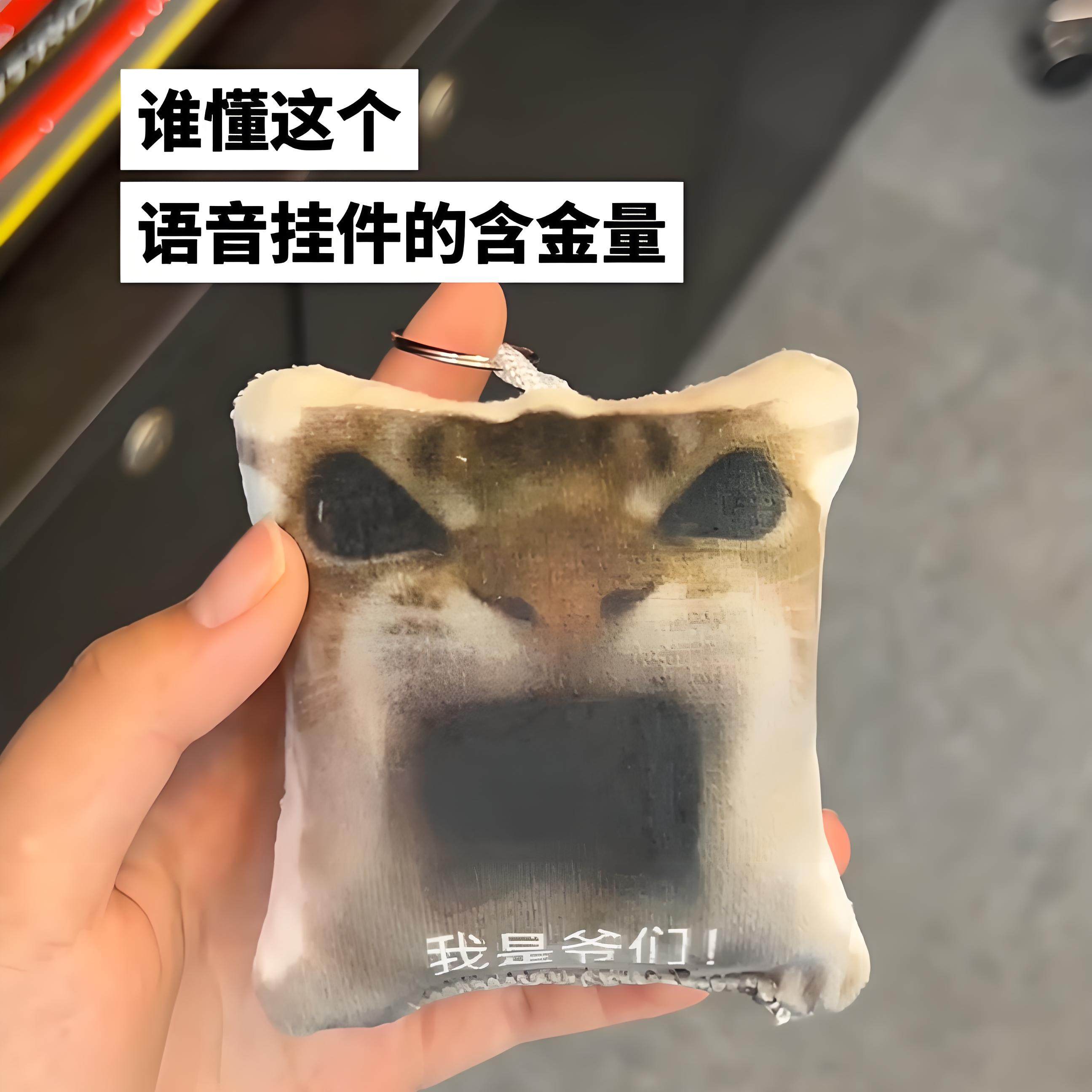 我是爷们按压语音挂件搞图片