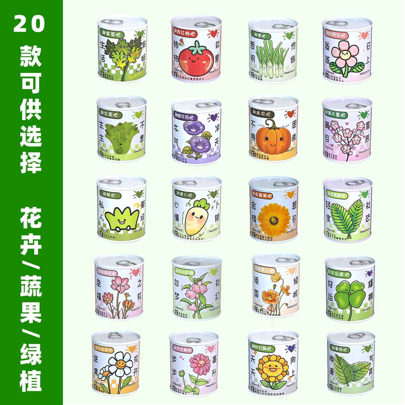 盆栽礼品礼物小型办公室迷你植物罐头种植罐头桌面
