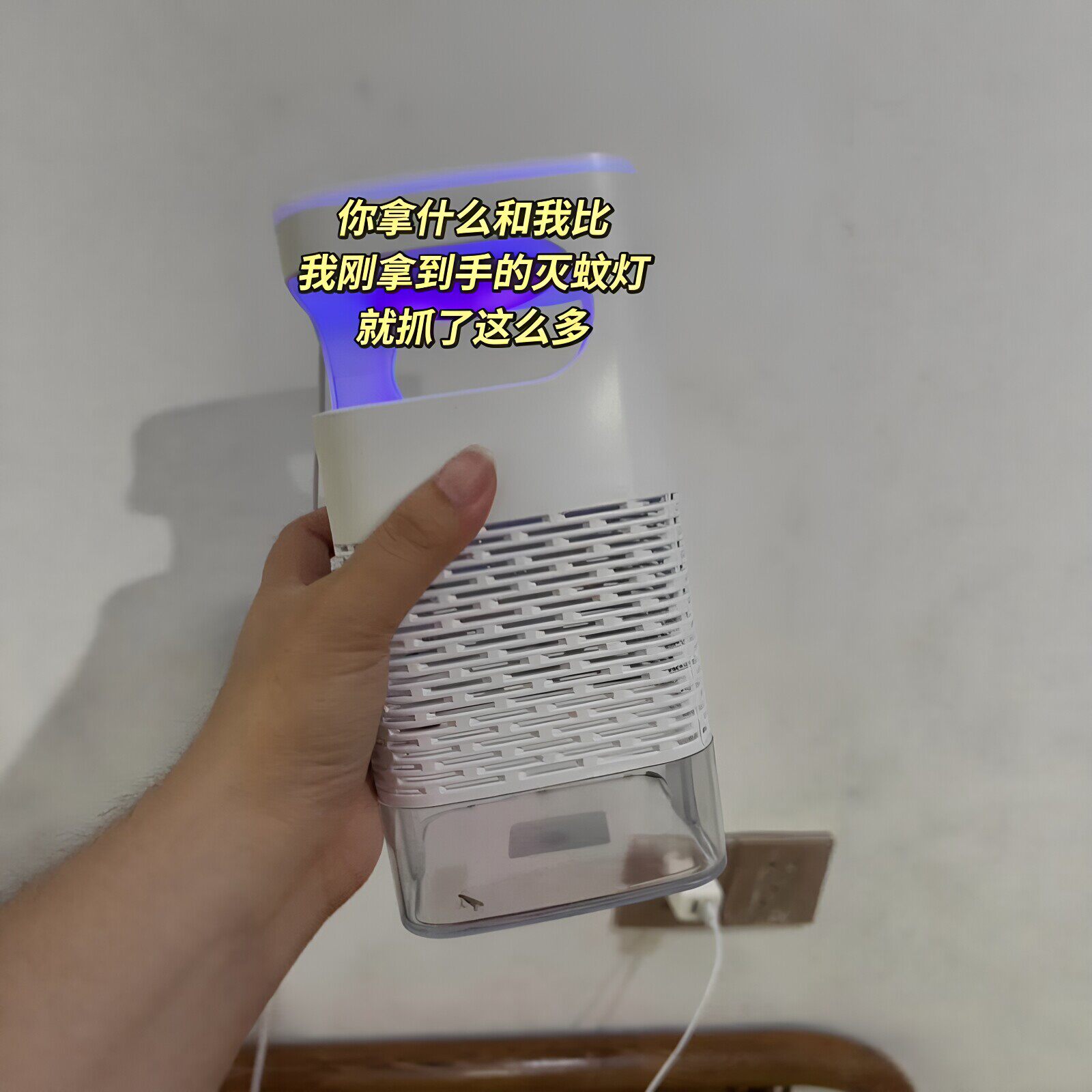 【吸入式灭蚊灯】蚊虫神