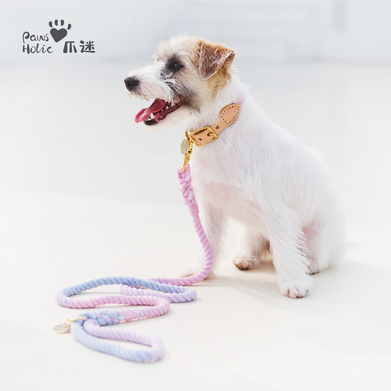 pawsholic爪迷狗狗项圈脖圈牵引绳防丢失斗牛中大型犬手工编织绳