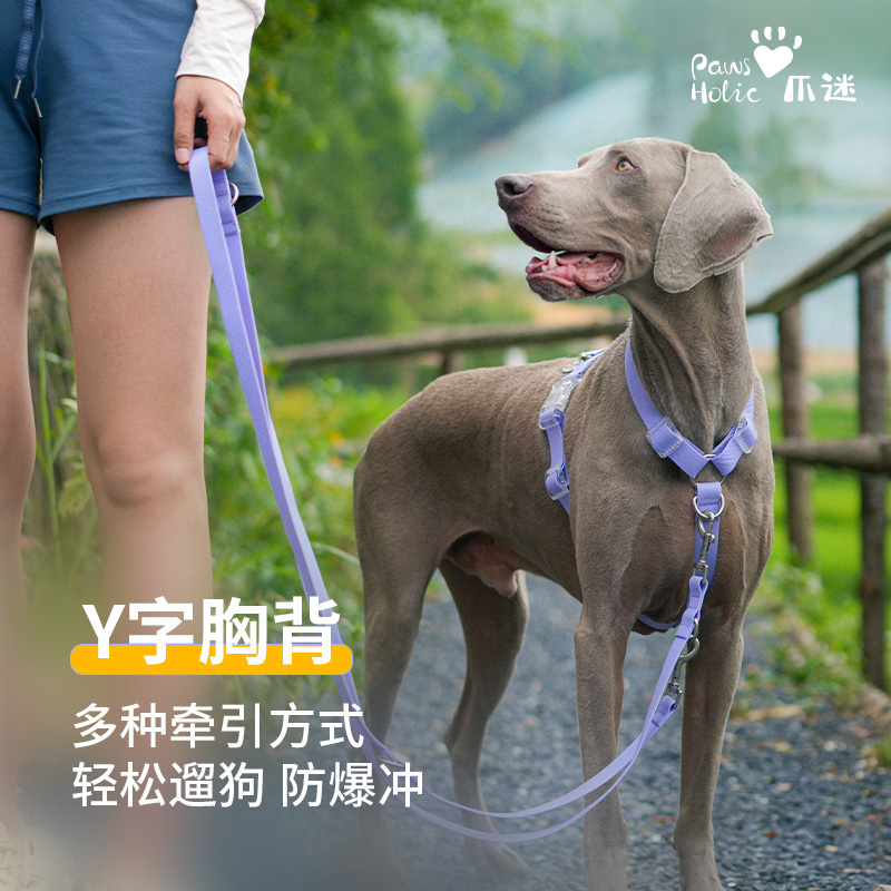 PawsHolic爪迷狗狗防水牵引胸背耐用小型犬中型犬大型犬柴犬斗牛