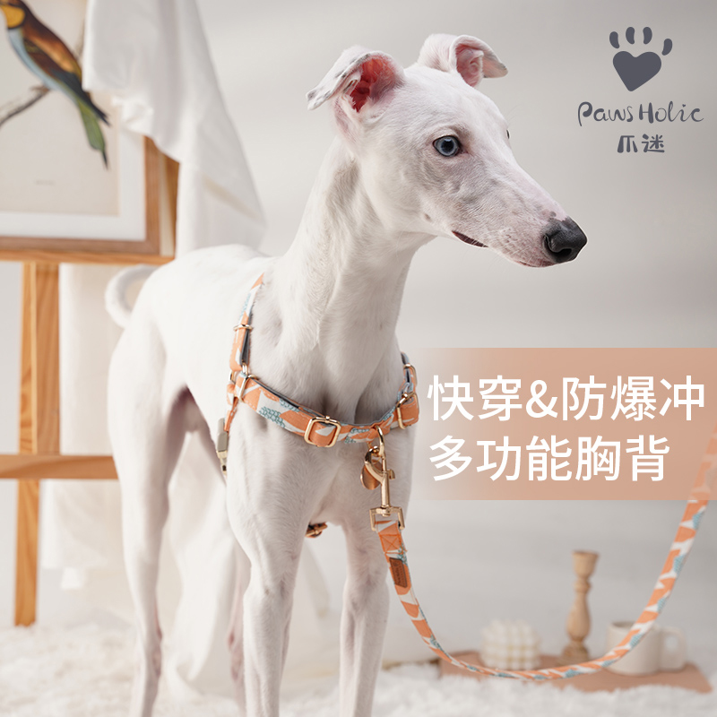 pawsholic爪迷狗狗胸背带防爆冲户外宠物牵狗牵引绳遛狗绳小型犬