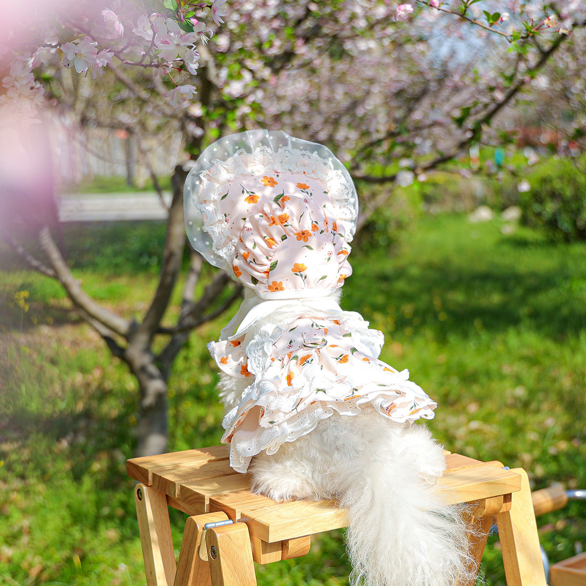 宠物衣服狗狗猫猫服饰舒适清凉公主蓬蓬纱裙春日茶会裙休闲时尚