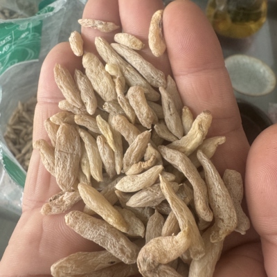 【老隋家川麦冬】正宗特级川麦冬 颜色发暗  个别有断 补气四宝