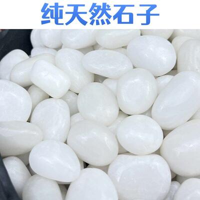 石子白色石子铺地铺路50斤装庭院小白石头白石子造景大鹅卵石景观