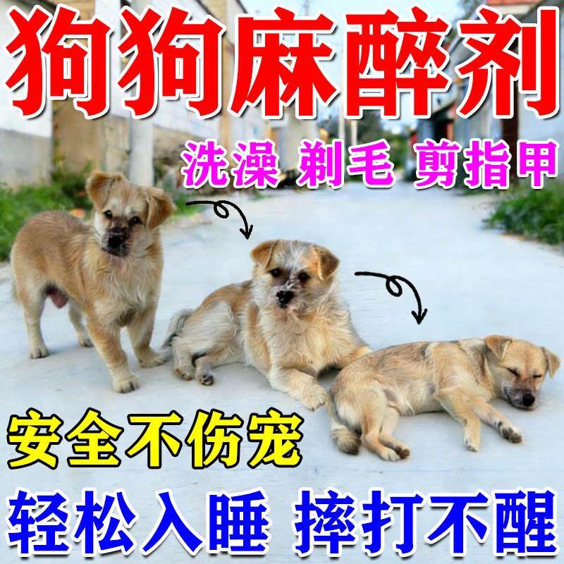 狗狗麻醉镇定剂快速睡眠强力安抚情绪剂剪指甲洗澡救助宠物镇静剂 - 实物图