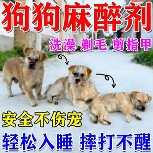 狗狗麻醉镇定剂快速睡眠强力安抚情绪剂剪指甲洗澡救助宠物镇静剂