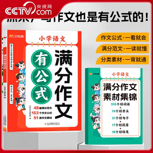 【央视网】小学语文满分作文有公式 小学1-6年级通用 赠作文素材集锦 公式法写作文分类学习 写作技巧作文书好词语好句子ZI