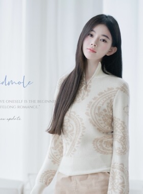 Redmole【腰果丰华】韩国小浣熊｜原创提花图案｜亨利针织毛衣