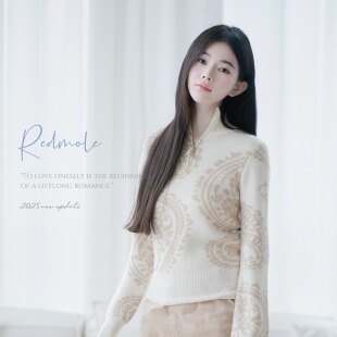 Redmole【腰果丰华】韩国小浣熊｜原创提花图案｜亨利针织毛衣