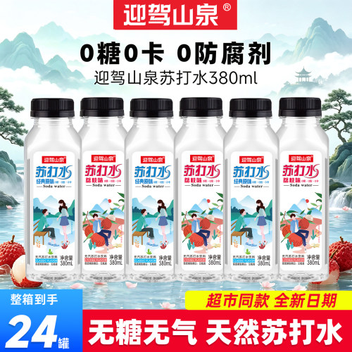 迎驾山泉无汽苏打水380ml*24瓶