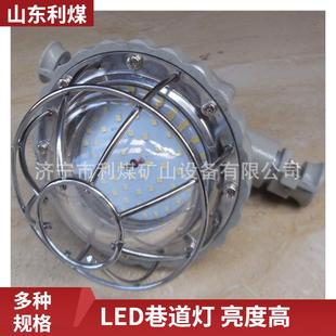 防水防尘36瓦矿用隔爆型LED照明灯 DGS36/127L巷道灯 防爆灯