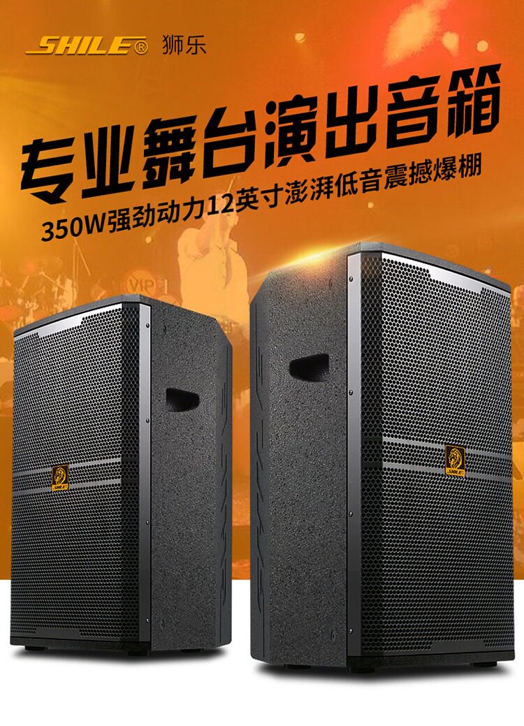 狮乐 BM-12 专业舞台会议音响KTV包房户外活动演出12寸音箱SHILE