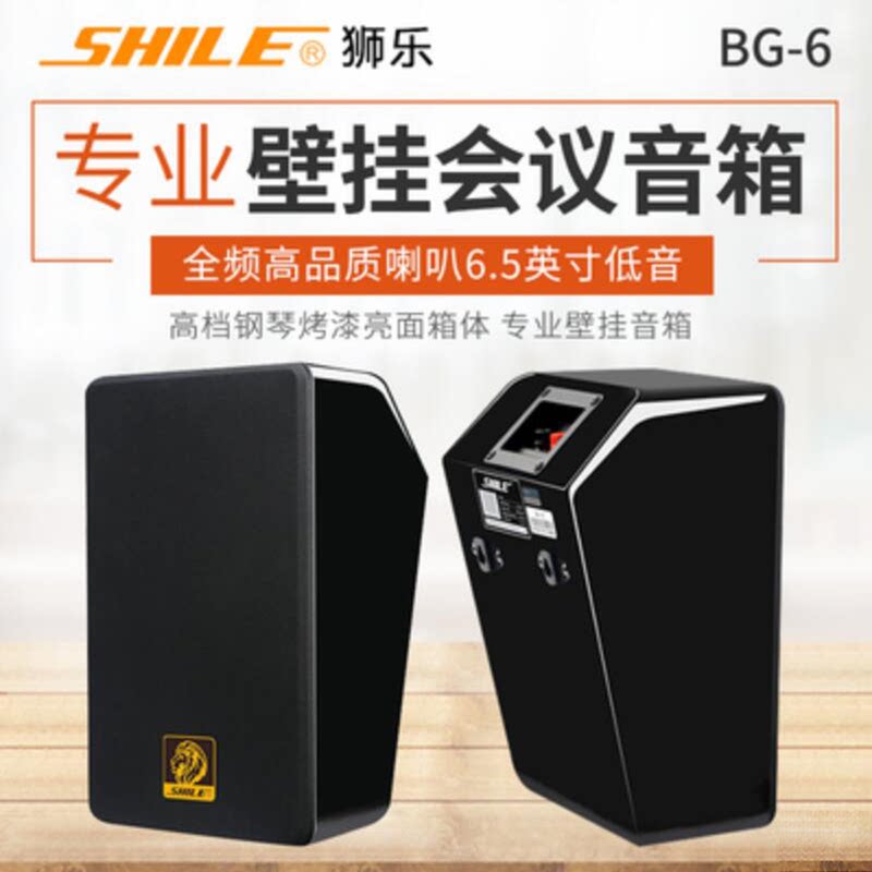 狮乐 BG-6会议音响培训室会议室家用卡拉OK音箱壁挂6.5英寸倾斜式