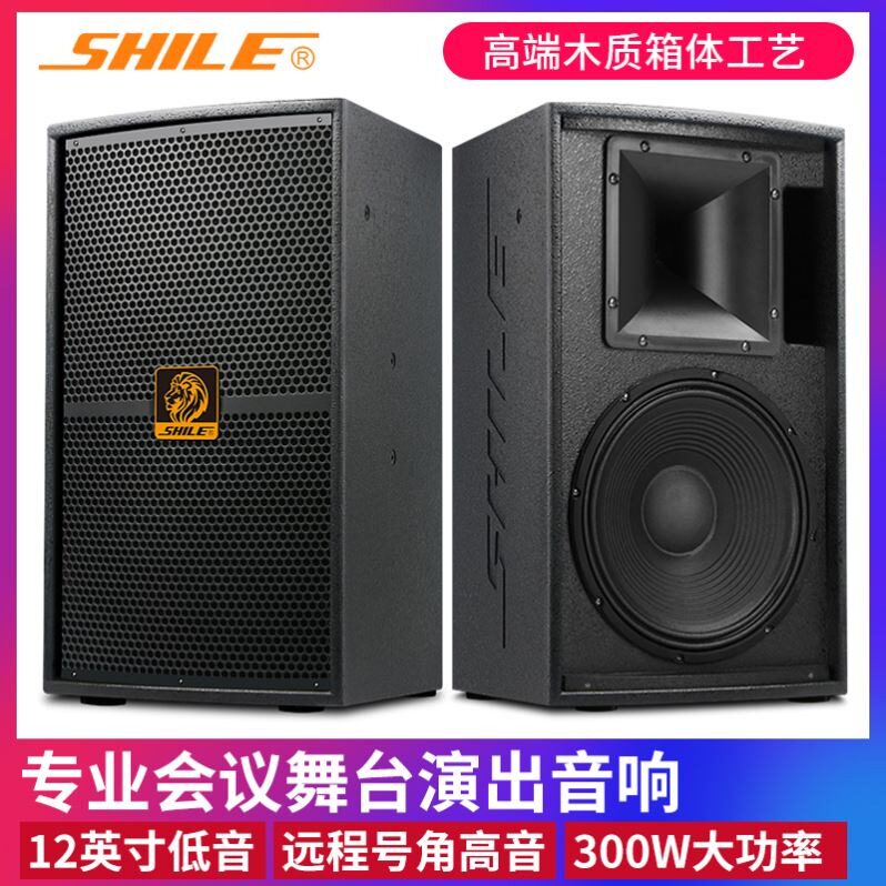 狮乐BM99专业音响箱12英寸KTV舞台会议家庭卡拉OK蹈教室全频高档