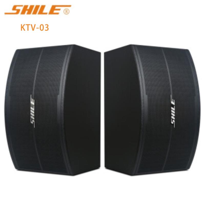 狮乐 KTV-03家庭ktv音响专业10英寸家用卡拉OK唱歌会议卡包音箱