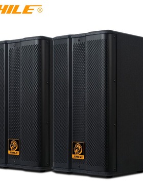 狮乐 BX-503音响8英寸木质壁挂培训舞蹈会议室教学家用卡拉OK音箱