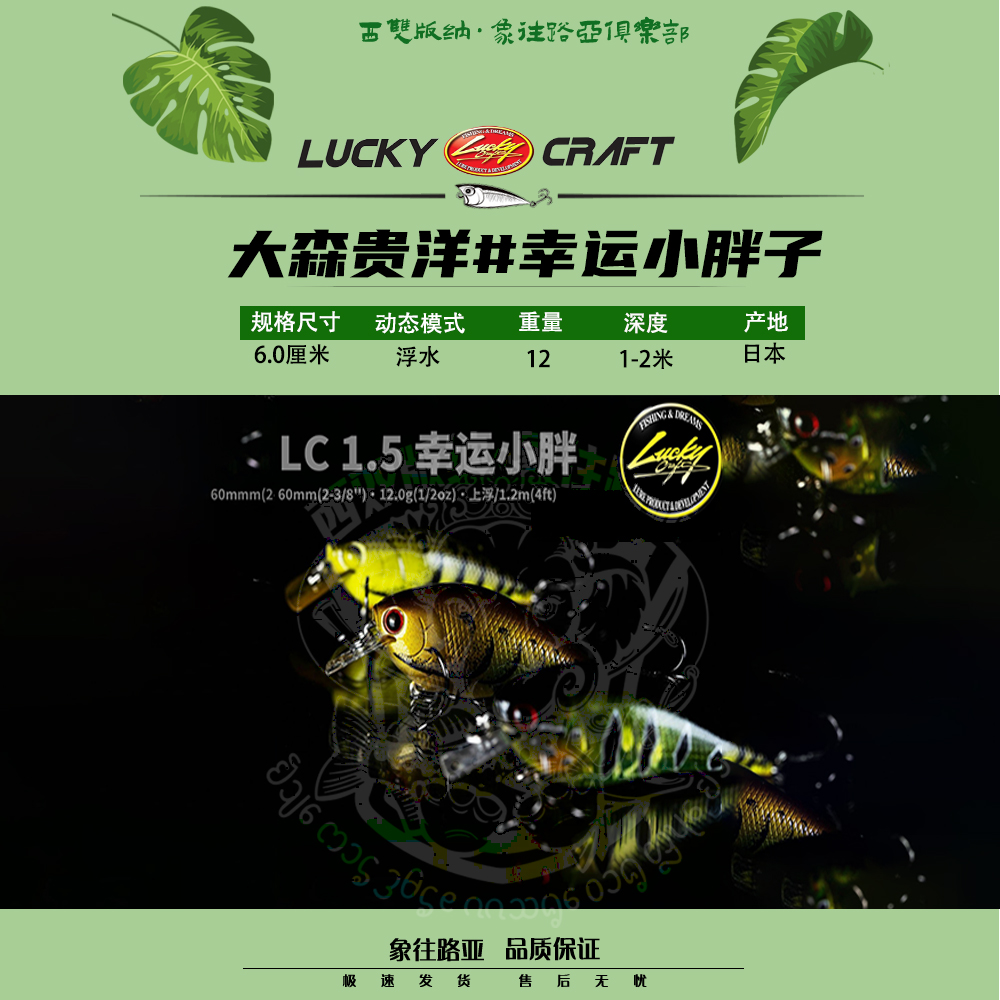 LuckyCraft大森贵洋胖子路亚饵